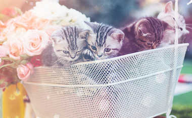This Week's Astrology: Close and cuddly