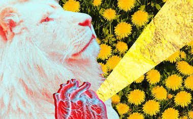Sun in Leo: Generous, Creative, Proud