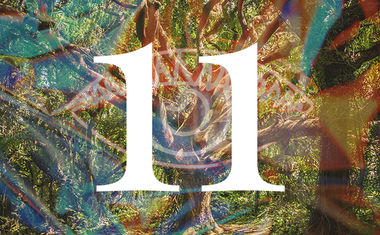 Life Path number 11 in numerology is represented by a large tree in a colorful forest.