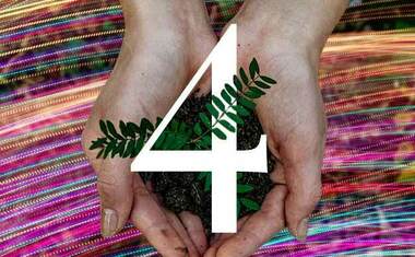 Life Path number 4 in numerology is represented by a green plant in a person’s hands.