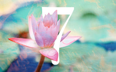 Life Path number 7 in numerology is represented by a beautiful pink flower.