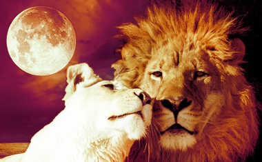 Weekly Astrology: Feb. 9-15, 2014