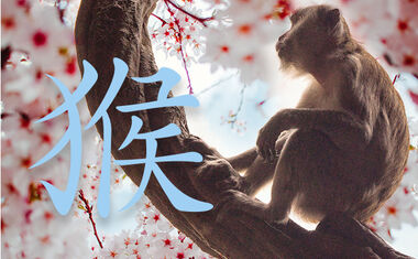 Chinese Zodiac Monkey
