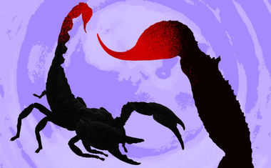 The Moon in Scorpio: Loyal, Mysterious, Passionate