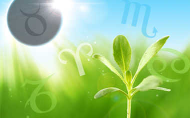Weekly Astrology: April 27 to May 3, 2014