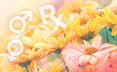 Spring Love Horoscopes 2016