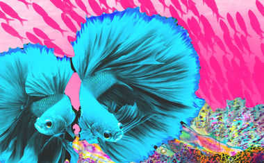 Your Pisces Season Horoscope