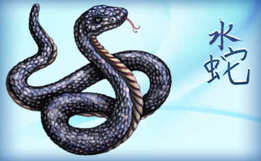 2013 Chinese Horoscopes