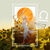 Sun in Libra