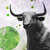 A gray bull stands against a gray background with green circles all around.