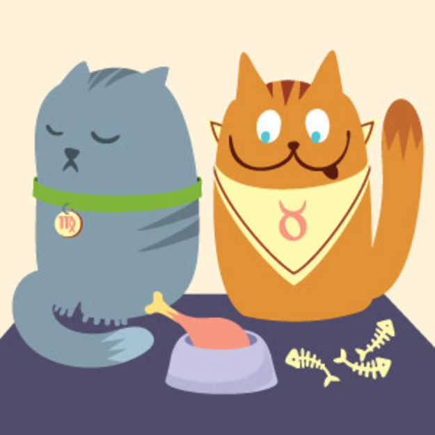  Cat  Astrology  Traits  by Zodiac  Sign
