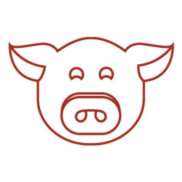 Chinese Zodiac The Pig