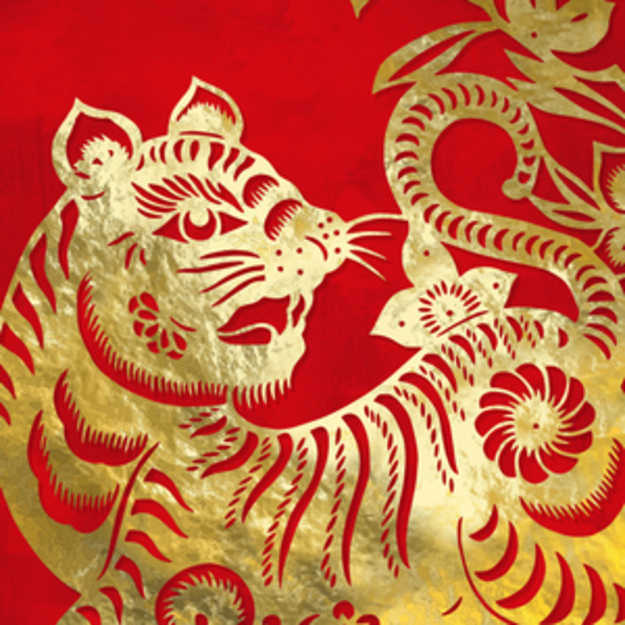 tiger-relationship-compatibility-the-charmer-tarot