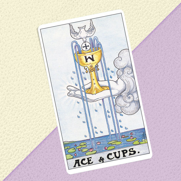 Tarot Suits: The Cups Cards | Tarot.com