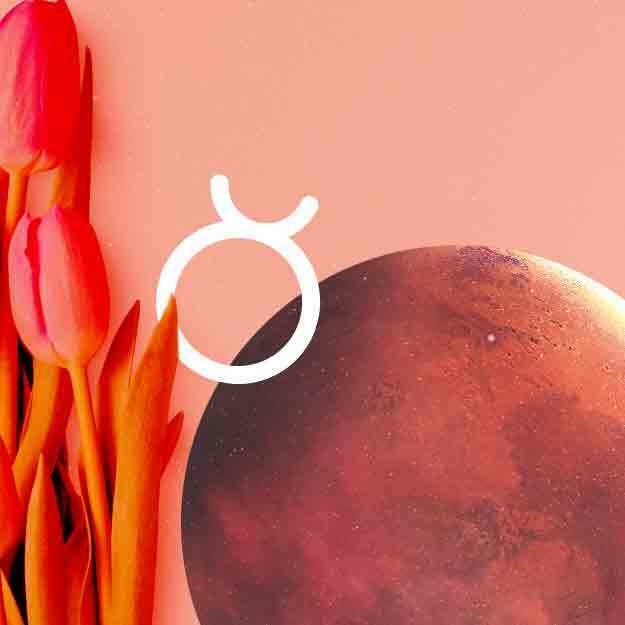 Mars in Taurus Determined, Steady, and GoalOriented