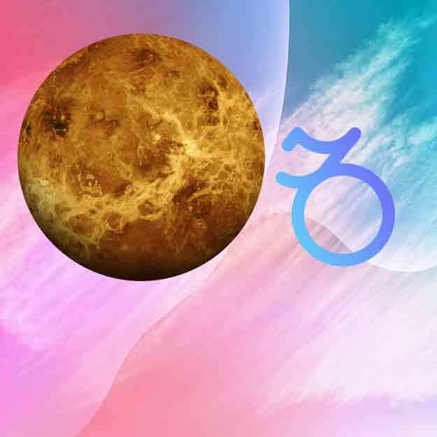Venus in Capricorn Loyal, Determined, Trustworthy
