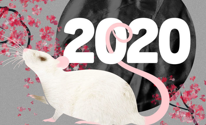 chinese new year 2020