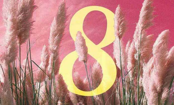 Numerology number 8