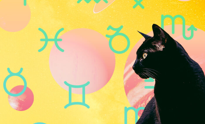A black cat surrounded by glyphs for different zodiac signs represents common superstitions.
