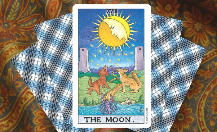 A classic Moon card rests on a floral tapestry.