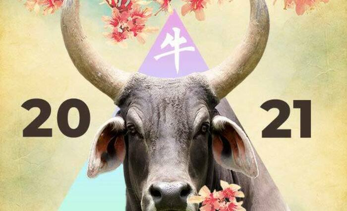 2021 year of the ox