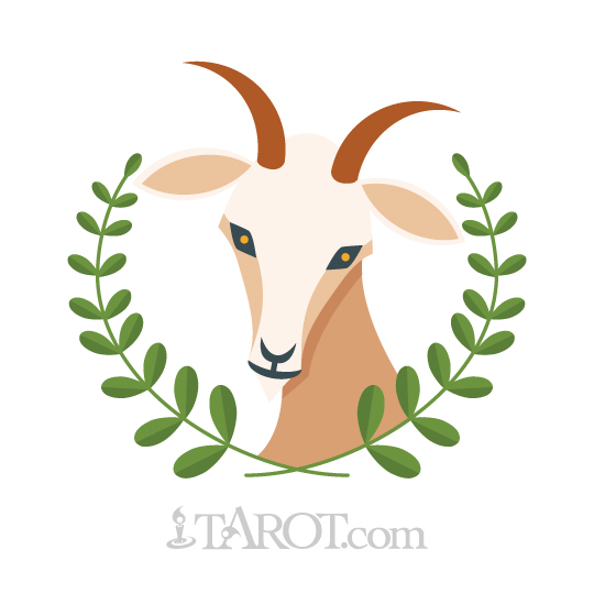 Capricorn Zodiac Sign