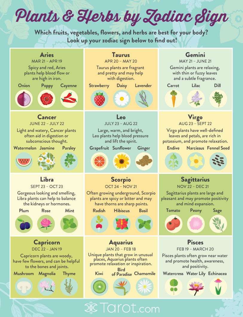 Plants and Herbs for Your Zodiac Sign
