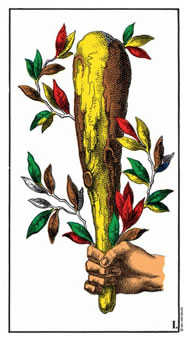 Ace of Wands Tarot card in Swiss (1JJ) Tarot deck