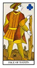 angel - Page of Wands