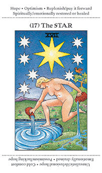 The Star Tarot card in Apprentice Tarot deck