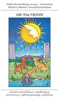 The Moon Tarot card in Apprentice Tarot deck