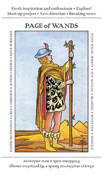 Page of Wands Tarot card in Apprentice Tarot deck