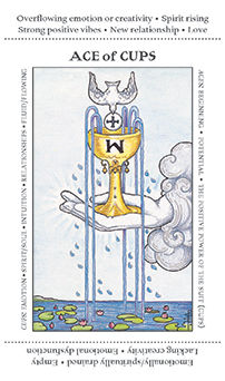 Ace of Cups Tarot card in Apprentice Tarot deck