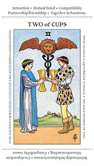 Two of Cups Tarot card in Apprentice Tarot deck