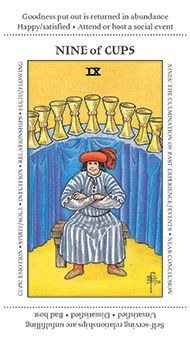 Nine of Cups Tarot card in Apprentice Tarot deck