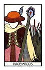 aquarian - Page of Rods