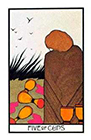 aquarian - Five of Cups