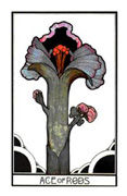 Ace of Rods Tarot card in Aquarian deck