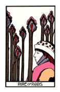 Nine of Rods Tarot card in Aquarian Tarot deck