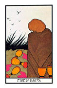 Five of Cups Tarot card in Aquarian Tarot deck