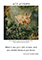 Art of Life