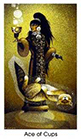 cat-people - Ace of Cups