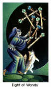 Eight of Wands Tarot card in Cat People Tarot deck