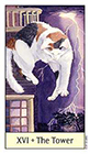 cats-eye - The Tower