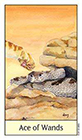 cats-eye - Ace of Wands