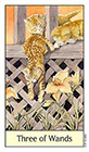 cats-eye - Three of Wands