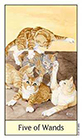 cats-eye - Five of Wands