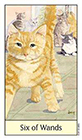 cats-eye - Six of Wands