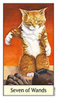 cats-eye - Seven of Wands