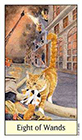 cats-eye - Eight of Wands